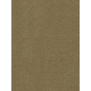 Trafficmaster Rug, 6x8